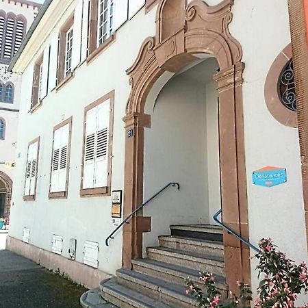 Un Petit Nid Atypique Au Coeur De Munster Apartamento Munster  Exterior foto